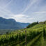 Wine Farm Waste services