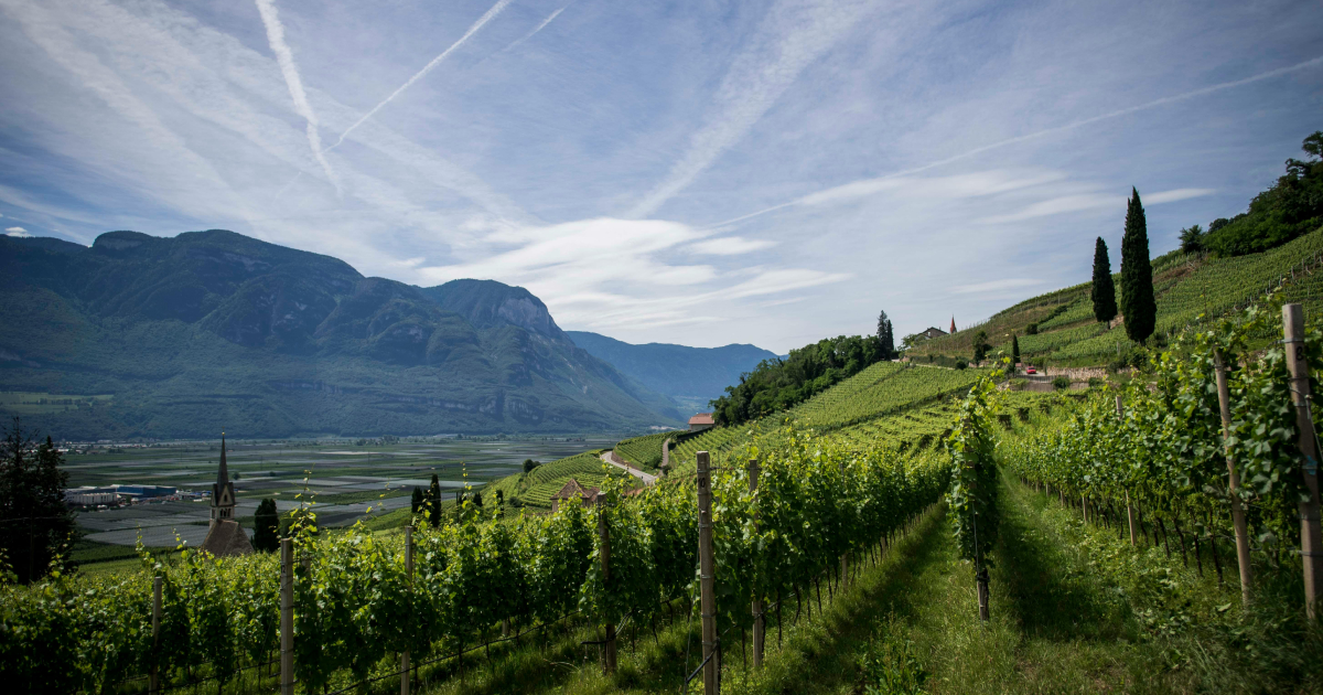 Wine Farm Waste services