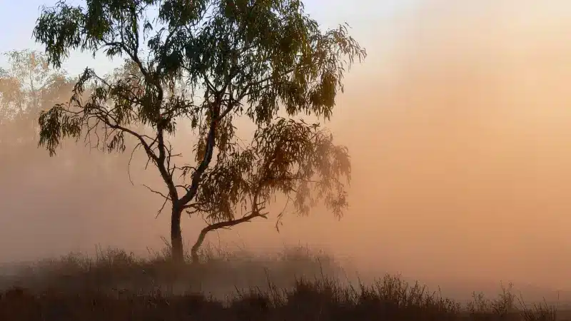 Dust Suppression