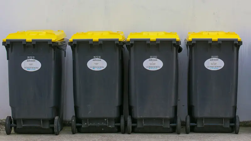 Waste management Cape